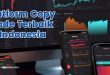Platform Copy Trade Terbaik di Indonesia