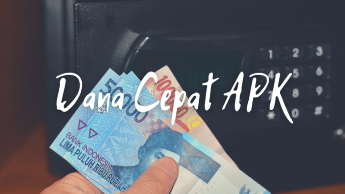 Dana cepat apk